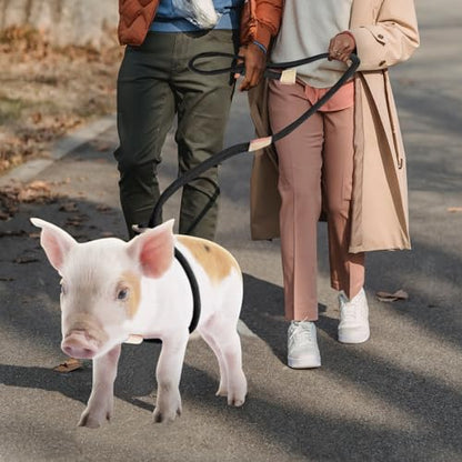 Mini Pig Harness & Leash, Adjustable 8 Feet Long Rope for Small to Medium Pet Pigs - color: Black