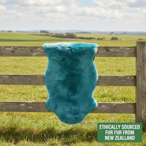 Premium Genuine Sheepskin Rug 2' x 6' Long Fur Soft & Natural Bedside Area Rug, Beach Blue, Double Pelt - color: Beach Blue, size: 2' x 6' (Natural)