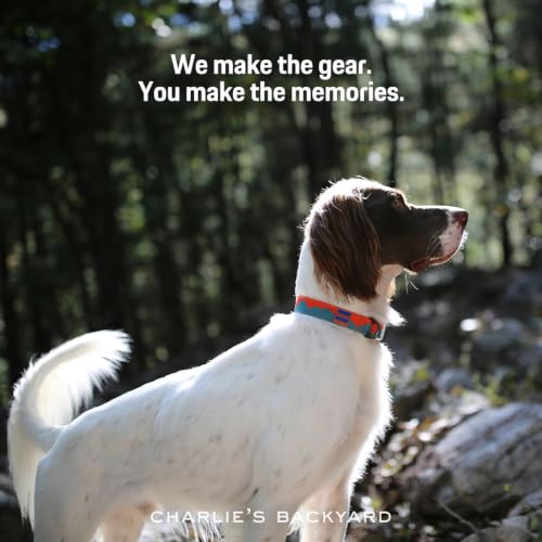 Charlie’s Backyard Teton Dog Collar, Urban to Trail Lightweight & Adjustable with Quick Release DURAFLEX Buckle, Durable D-Ring & All-Day Comfort, Sunset Peaks, Small - color: Sunset Peaks, size: Small