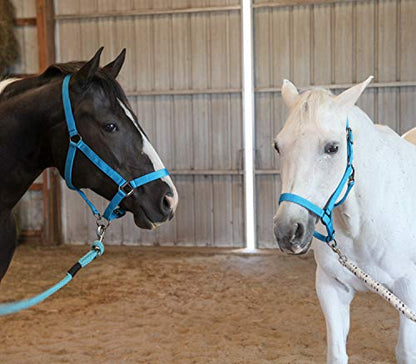 Majestic Ally Pack of 2 Adjustable Halter for Horses–Adjustable Chin and Crown– Sewn-in Throat Snap Hook- Heavy Duty Rose Gold or Black Nickel Finish Hardware–Full - color: Turquoise-Black Nickel