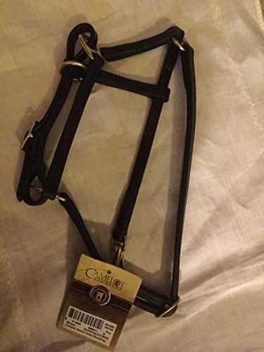 CAMELOT Basic Leather Adj Stable Halter w/Snap Sckln