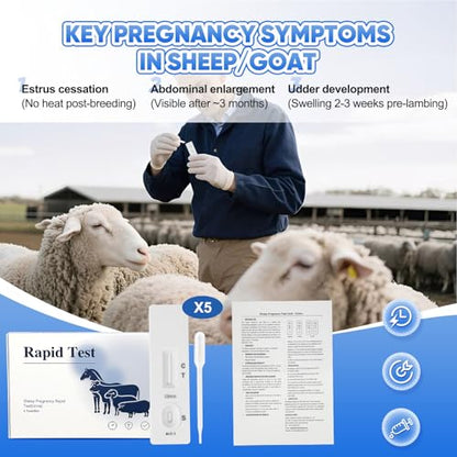 Sheep/Goat Pregnancy Test –5 Pack Ewe Pregnancy Urine Test Strips