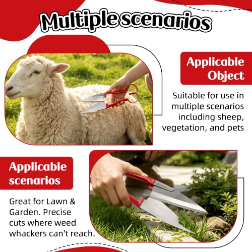 Double Bow Sheep Shears, 6.1" Carbon Steel Blade, Farm Grooming Scissors - color: Red
