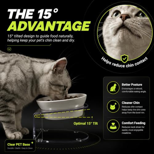 LivLab Mker Raised Cat Bowl, 15° Tilted, 4.5 in High, White - color: White