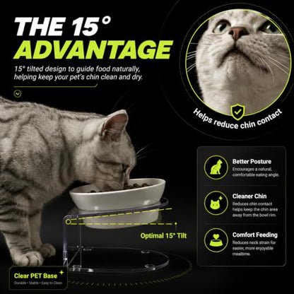 LivLab Mker Raised Cat Bowl, 15° Tilted, 4.5 in High, White - color: White