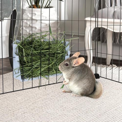 Hypeety Rabbit Hay Feeder Automatic Hay Rack for Guinea Pigs, Blue - color: Blue, size: 1pc