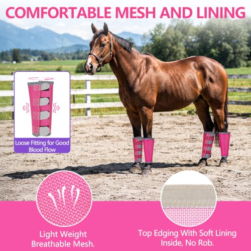 Fly Boots for Horses Set of 4 with Reflective Vercros, Loose Fitting Mesh Horse Fly Boots Leggings, Adjustable Equine Leg Wraps & Socks, Stay Up Not Sag, No Rub - color: Pink