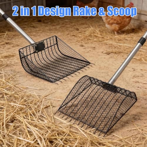 12 inch Large Chicken Poop Scooper Rake with Sifting Litter Shovel, Stainless Steel Handle (25 to 66"), Heavy-Duty Poultry Litter Scoop for Chicken Coop for Sand & Farm Pet Waste Cleaning