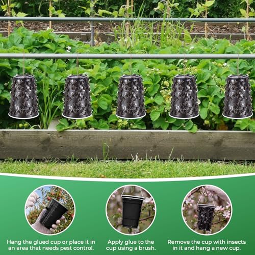 Qualirey Sticky Coating Trap with Brush and 12 Pcs Plastic Cup, Horse Bug - style: Horse Bug