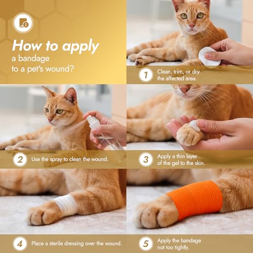 Self-Adhering Elastic Dog Bandages for Wounds – Cat & Dog Bandage Prevents Licking and Scratching – Made from Natural Rubber Latex, the Wrap Sticks to Itself – Set of 9 x 5 cm Rolls - size: Bandages