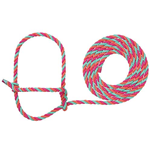 Weaver LivestockRope Halter - color: Purple/Black/Teal, size: One Size