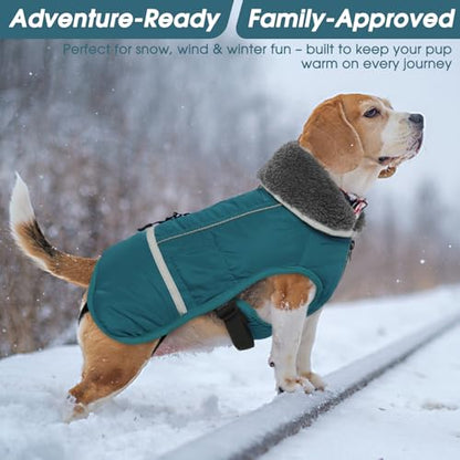 QBLEEV Warm Dog Coat, Reflective Dog Jacket, Waterproof Dogs Winter Coat - color: Aqua, size: Small