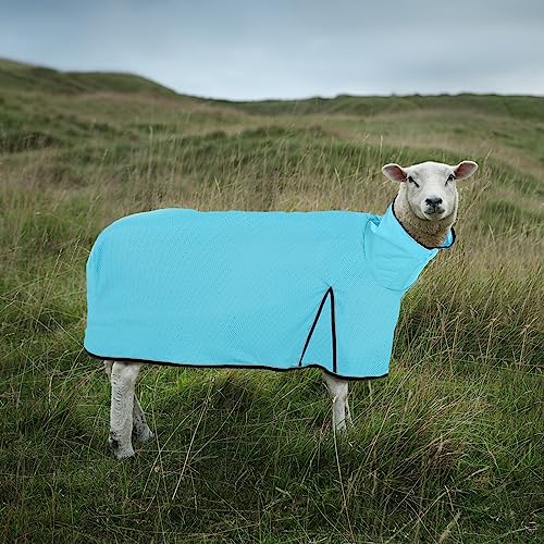 Silkfly 2 Pcs Sheep Blanket Mesh Medium Goat Adjustable Strap, Blue - color: Blue