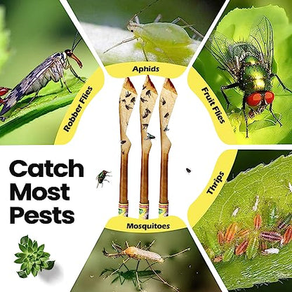 Qualirey 80 Pack Fly Strips Sticky Fly Trap Indoor Outdoor Hanging Fly Ribbon Tape Paper Flying Insect Trap Gnat Killer Traps for Fruit Flies, Bug, Insect, Pest (Yellow) - color: Yellow