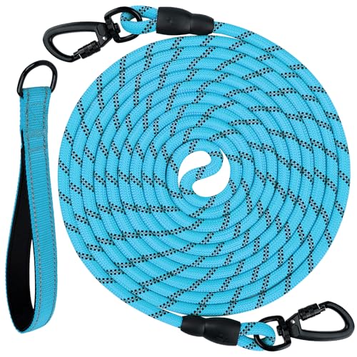 Joytale Long Dog Leash for Yard Tie Out & Recall Training, Blue, 65FT - color: Blue, size: 65FT