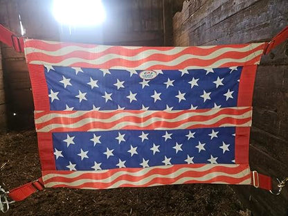Derby Originals Heavy Duty Patriotic Design Stall Guard for Horse Stalls – Durable Double-Hanger Stall Barrier