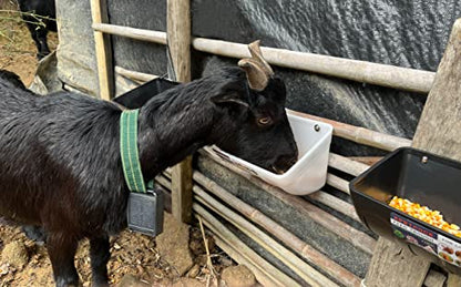 Chicken Feeder Waterer, Goat Feeder - 2 Pack, 5.5 Quart, for Goats Chickens Duck Sheeple Dogs Piglets Deers Gooses, Turkeys, Goat Supplies(Appearance Patent Product) - color: Black
