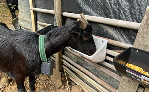 Chicken Feeder Waterer, Goat Feeder - 2 Pack, 5.5 Quart, for Goats Chickens Duck Sheeple Dogs Piglets Deers Gooses, Turkeys, Goat Supplies(Appearance Patent Product) - color: Dark green