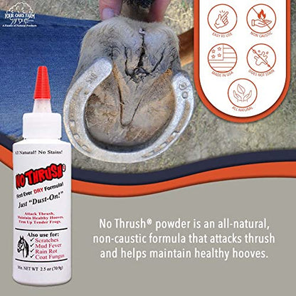 Four Oaks Farm Ventures, No Thrush Dry Powder Treatment for Horses - Wound Care, Scratches, Rain Rot, Mud Fever, Coat Issues - All Natural Ingredients, Non-caustic, Easy to Use Powder Formula (2.5 oz) - size: 2.5 Ounce