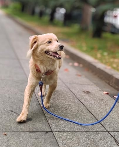 Small Dog Leash 1/4" by 6/8/10FT Lightweight Strong Rope Leash - color: dark blue, size: 1/4" x 6'