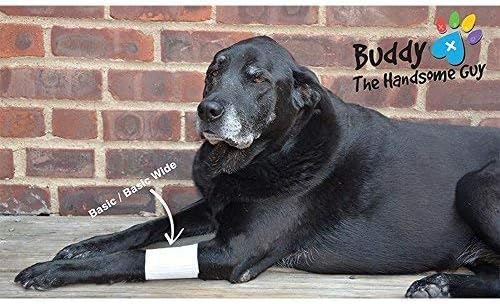 PawFlex Basic Leg Bandages for Dogs, Cats Pets - First-Aid Non Adhesive Fur Friendly, Soft Stretch Wound Care, Hot Spots, Fungus, Adjustable Fastening Strap Value Pack (2XS/XS 20-Pack) - size: 2XS/XS 20-Pack