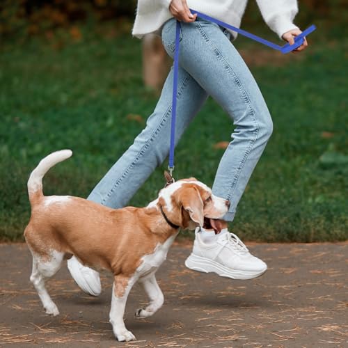 Hypeety Dog Training Leash Strong Nylon Lead for Training Walking, 3pcs - color: 3pcs