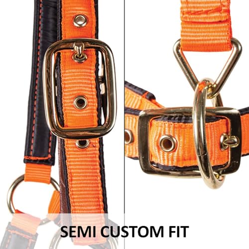 Dura-Tech Deluxe Fully Padded Breakaway Horse Halter | 1” Double Ply Nylon Web Overlay | Heavy-Duty Hardware | Semi Custom Fit | 3-Point Cheek Attachment - color: Burgundy, size: Cob Size