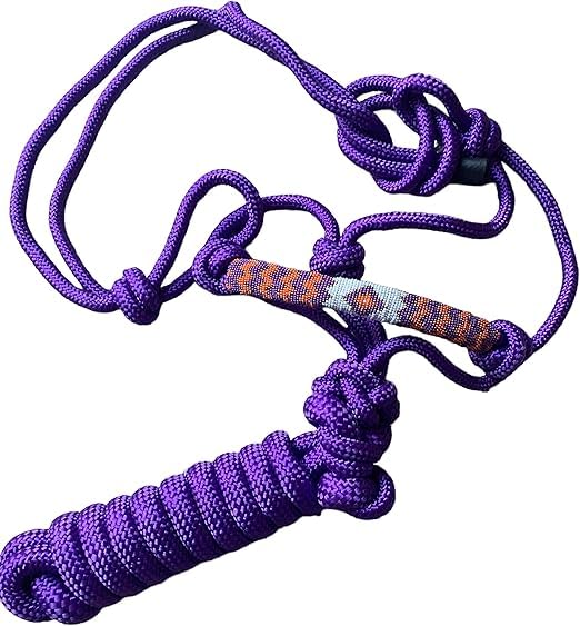 Horse Halter Padded Beaded Braided Rope with 10' Matching Lead – Purple - color: Purple