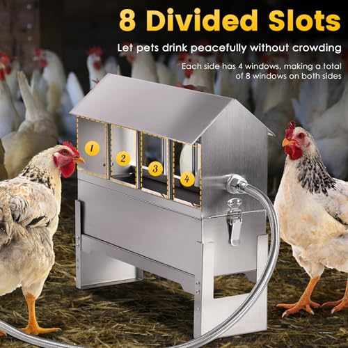 Automatic Chicken Waterer Stainless Steel Chicken Water Dispenser