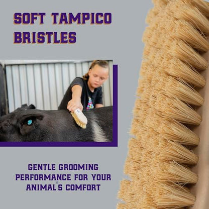Weaver Livestock Tampico Pig Brush, Plastic Grooming Brush for Dirt Removal, Soft Bristle Tampico Brush for Smooth Hair, Daily Show Pig Grooming Tools