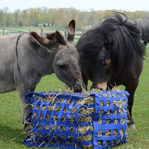 Derby Originals Natural Grazer Patented Four Sided Slow Feed Horse Hay Bag with One Year Warranty - color: Black