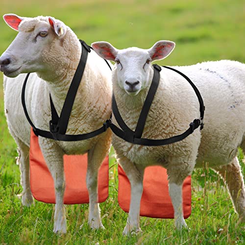 Kajaia Goat Apron Anti Breeding Sheep Skirt - color: Orange, size: Medium