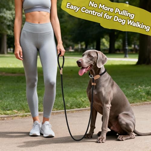 Mile High Life Heavy Duty Slip Lead No Pull Leash 6/5/4FT for Large Dogs - color: Black, size: 6 Feet