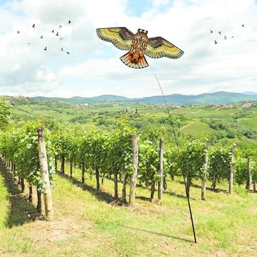 Bird Scarer Kite with 13ft Pole Bird Hawk Flying Kite-Owl Kite | Deterrents for Farms, Gardens and Docks | Keeps Birds, Geese and Seagulls Away | Covers 2150-5380 sq.ft - color: multicoloured