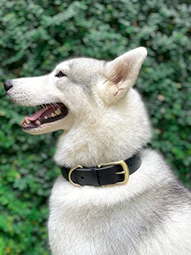 Tuff Pupper Heavy Duty Waterproof Dog Collar for Small, Medium & Large Dogs - color: Epic Black