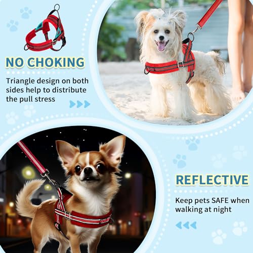 SlowTon No Pull Small Dog Harness and Leash Set with Front Clip | Soft Padded, Neck & Chest Adjustable, Lightweight, Anti-Twist, Puppy Vest Harness Pet Lead Combo for Small Medium Dog, R S - color: Red, size: X-Small