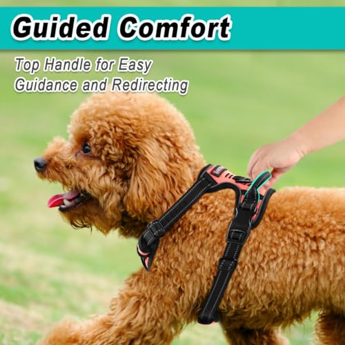 BARKBAY Dog Harness for Small Sized Dog No Pull 2 Leash Clips Dog Vest - color: Light Pink, size: X-Small