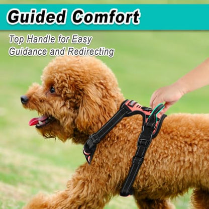 BARKBAY Dog Harness for Small Sized Dog No Pull 2 Leash Clips Dog Vest - color: Light Pink, size: X-Small