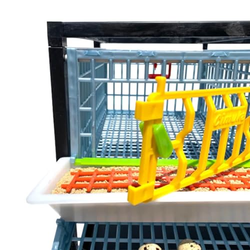 Hatching Time Jumbo Quail Cage Layer Addition – Jumbo Flooring Expansion Add-On for Quail Housing │ Removable Dividers, Extended Waste Trays, Egg Roll-Out Design, Easy-Clean ABS Plastic - style: Jumbo
