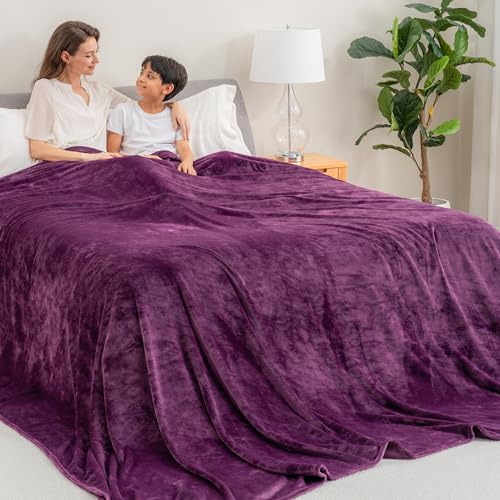 Berkshire Blanket VelvetLoft Big Oversized King Family Blanket, All Season Mid-Weight Ultra Silky and Fuzzy, Seamless Extra Large (Eggplant, 120x120 Inches) - color: Eggplant, size: Oversized King