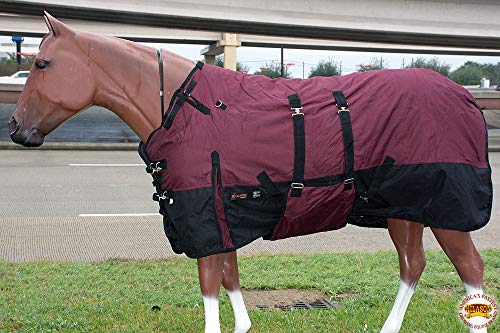 Horse Turnout Blanket Hilason 600D Waterproof Winter Blanket with Belly Wrap 250g Fill Rip-Stop Shell Fleece Wither Lining Wine Black - size: 69 In