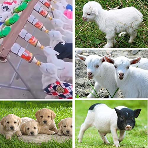 12-Pack Pritchard Nipple for Goats Milk Drink Bottle Nipple Soft Rubber Pritchard Teat for Small Animal Nursing Lambs Goat Kids Pup Dog Foal Calf Piglet Feed Orphaned