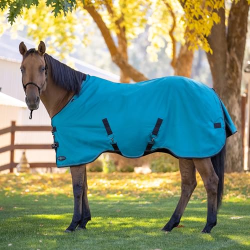 Kensington Protective Products Signature Light Weight Horse Turnout Blanket, Harbor, 69-in