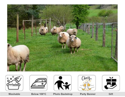 10x8ft Fabric Wool Sheep Herd Backdrop Fluffy White Ewe Lush Green Pasture Wire Fence Spring Tree Photography Background Tapestry Farm Wildlife Animal Decorations Photo Booth Props - size: 10x8ft