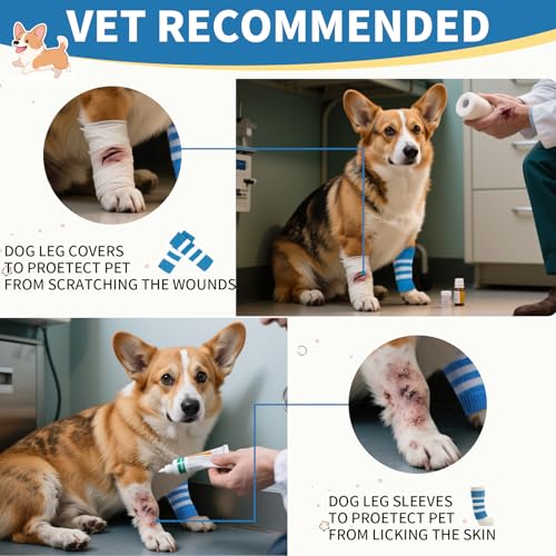 4 PCS Dog Elbow Protect Knit to Help Reducing Licking Scratching Elbow - color: BlueStripe, size: S-Leg Girth: 2.04in