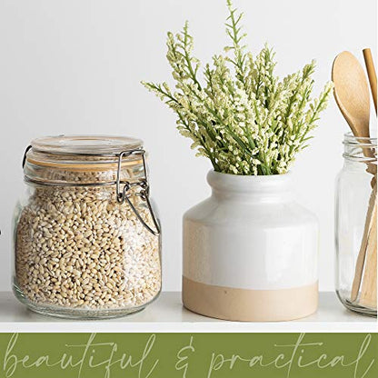 Glass Jar with Airtight Lid 24 oz | Food Storage Jar, Wide Mouth, Leak Proof Kitchen Canister - size: 24 oz