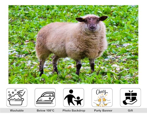 5x3ft Fabric Fluffy Wool Sheep Backdrop Brown Faced Ewe Fresh Green Farm Field Photography Background Tapestry Party Farm Decorations Photo Booth Props - size: 5x3ft