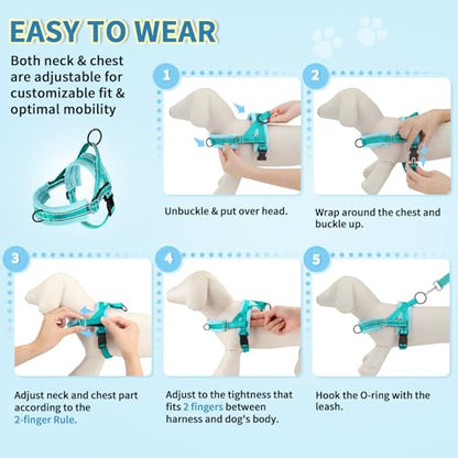 SlowTon No Pull Small Dog Harness and Leash Set with Front Clip | Soft Padded, Neck & Chest Adjustable, Lightweight, Anti-Twist, Puppy Vest Harness Pet Lead Combo for Small Medium Dog, TL XXS - color: Teal, size: XX-Small