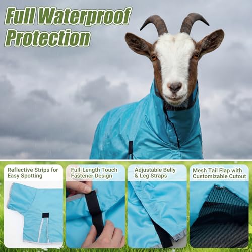 Goat Sheep Blanket -Summer Sun Protection Rain Coat for Show Goats Sheep Lambs Livestock Lightweight Waterproof Fly Sheet with Adjustable Belly Straps(M) - size: M