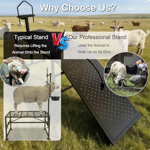 600 Lbs Adjustable Goat Milking & Trimming Stand with Feed Bin Ramp, Heavy Duty Steel Construction Ideal for Sheep & Goat Grooming, Hoof Trimming, and Milking, Livestock Care Equipment (Black)